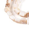Natural Freshwater Shell Beads Strands BSHE-T014-51A-3