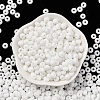 Baking Paint Glass Seed Beads SEED-C003-02K-2