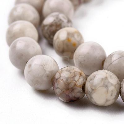 Natural Maifanite/Maifan Stone Beads Strands X-G-F353-10mm-1