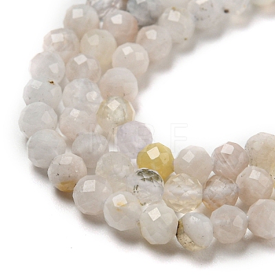 Natural Rainbow Moonstone Beads Strands X-G-A097-A02-03-1