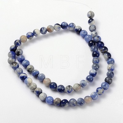 Natural Sodalite Beads Strand GSR10mmC013-1