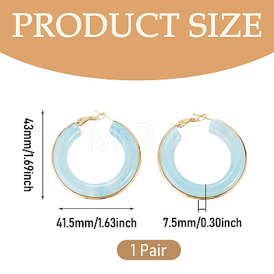 1 Pair 304 Stainless Steel Hoop Earrings EJEW-TA0001-89D-1