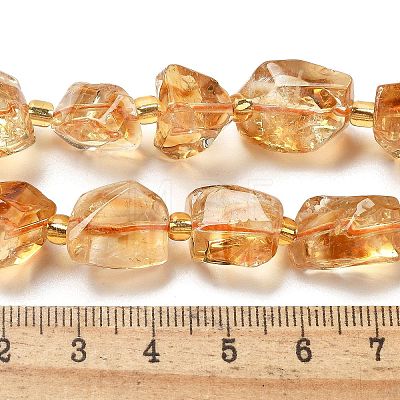 Natural Citrine Beads Strands G-H074-C02-02-1