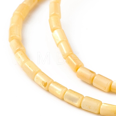 Natural Freshwater Shell Dyed Beads Strands SHEL-M018-12-1