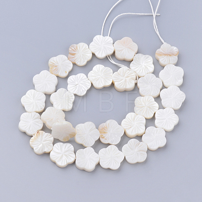 Natural Freshwater Shell Bead Strands SHEL-T001-A01-1