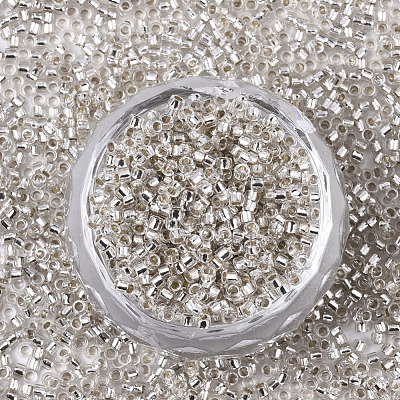 Glass Seed Beads SEED-S042-04B-06-1