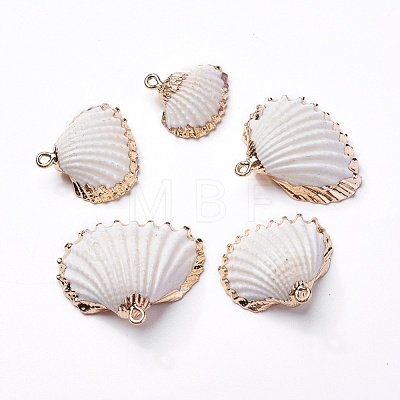 Shell Pendants SHEL-P075-04-1