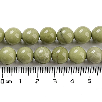 Natural Alashan Agate Beads Strands G-E598-03B-1