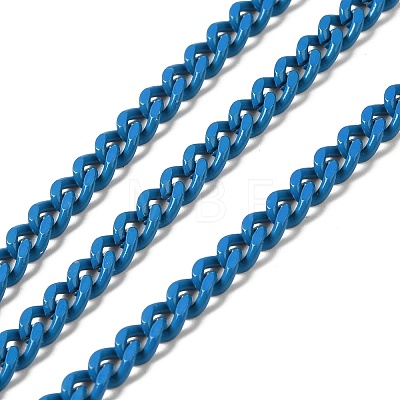 Spray Painted 304 Stainless Steel Curb Chains STAS-B067-05B-05-1