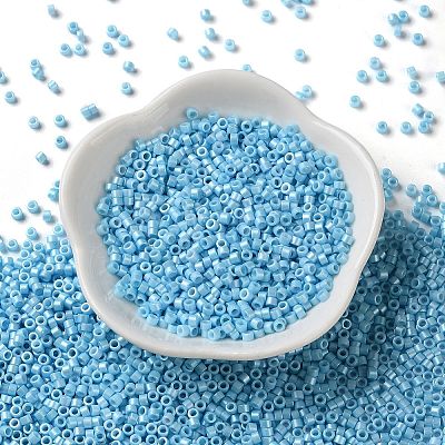 Baking Paint Glass Seed Beads X-SEED-S042-15A-10-1