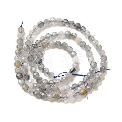 Natural Rainbow Moonstone Beads Strands G-R475-025D-1