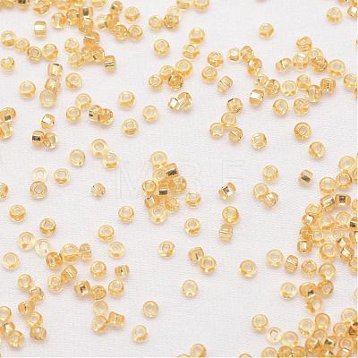 6/0 Round Glass Seed Beads SEED-J018-F6-62-1