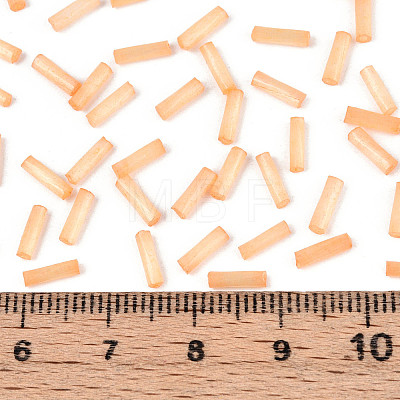 Glass Bugle Beads SEED-N007-28L-1