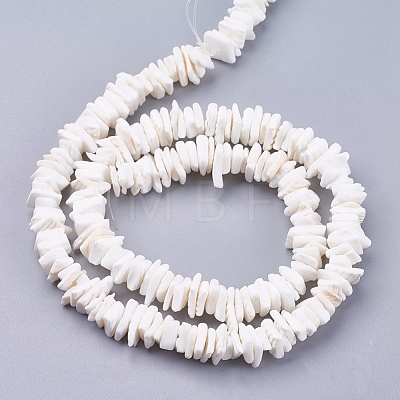 Natural Sea Shell Beads Strands X-BSHE-K012-08E-1