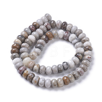 Natural Gobi Agate Beads Strands G-F668-07-B-1
