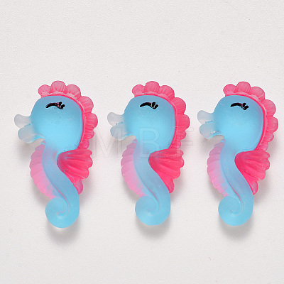 Translucent Frosted Resin Cabochons LS-CRES-N022-10-1