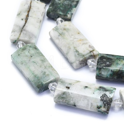 Natural Tree Agate Beads Strands G-E530-16L-1