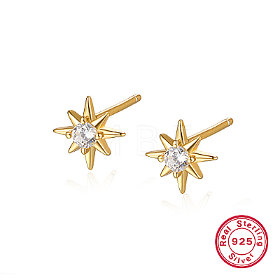 Sterling Silver Stud Earrings for Women PD9987-1-1