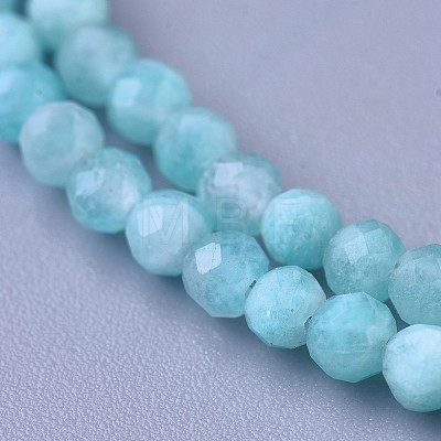 Natural Amazonite Beaded Necklaces NJEW-K114-B-A07-1