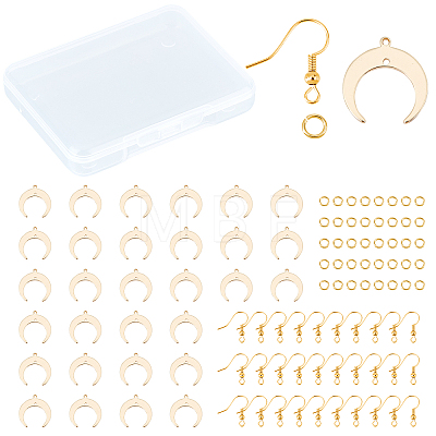DIY Earring Making Kit DIY-CN0001-65-1