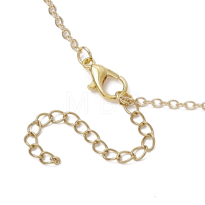 Brass Flower Heart Locket Pendant Cable Chain Necklaces for Women NJEW-JN05235-1