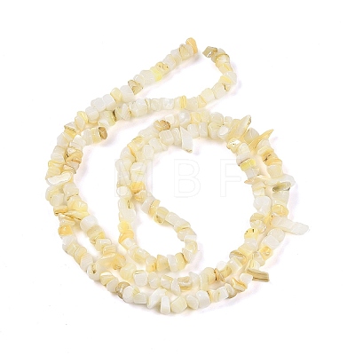 Natural Freshwater Shell Beads Strands BSHE-G036-02-1