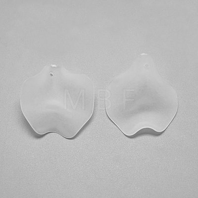 Transparent Acrylic Pendants X-FACR-S031-26mm-SB518-1