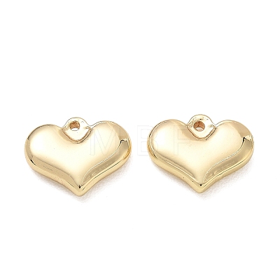 304 Stainless Steel Charms SA-CBA3037-20G-13-1