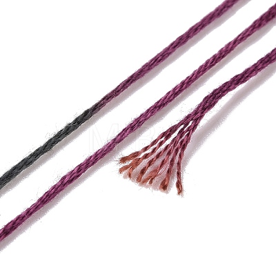 10 Skeins 6-Ply Polyester Embroidery Floss OCOR-K006-A04-1