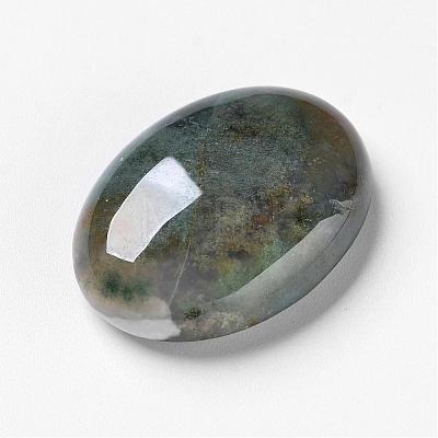 Natural Moss Agate Cabochons G-F296-09-22x30mm-1