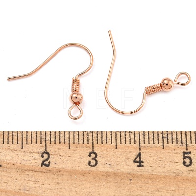 Brass Earring Hooks KK-Q362-RG-NF-1