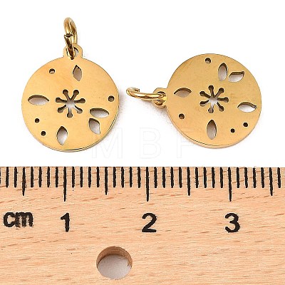 304 Stainless Steel Charms STAS-D050-07G-14-1