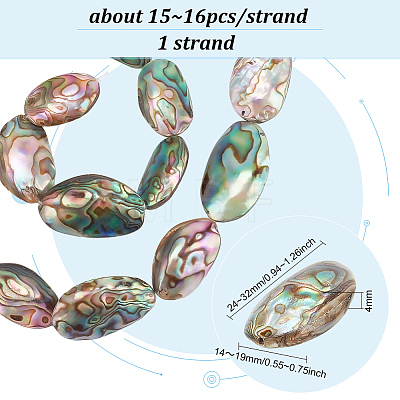 BENECREAT 1 Strand Natural Abalone Shell/Paua Shell Beads Strands BSHE-BC0001-16-1
