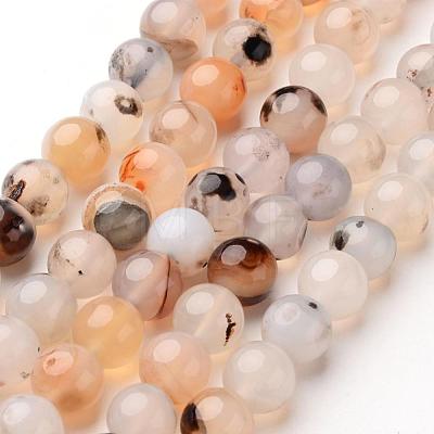 Natural Dendritic Agate Beads Strands G-D845-04-10mm-1