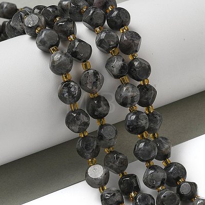 Natural Larvikite Beads Strands G-K387-A02-02-1