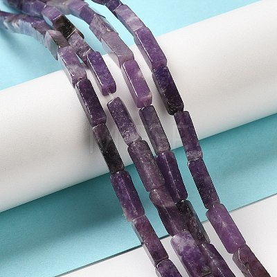 Natural Lepidolite/Purple Mica Stone Beads Strands G-E612-C05-A-1