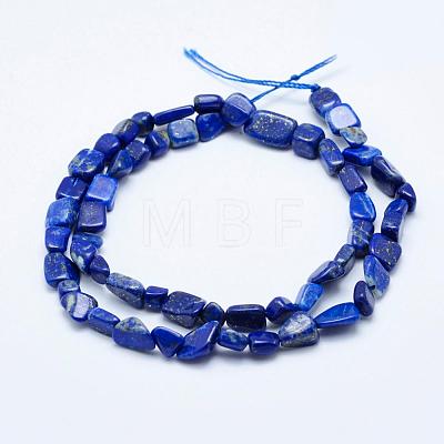 Natural Lapis Lazuli Beads Strands G-K203-18-1