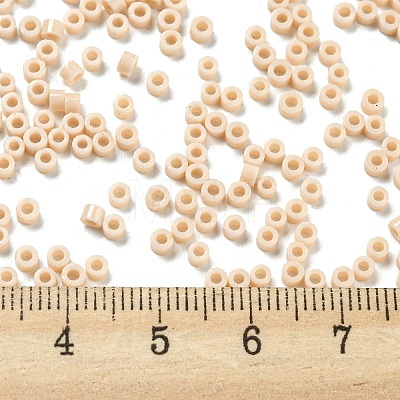 Opaque Colours Glass Seed Beads SEED-S042-09A-03-1