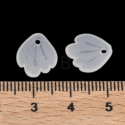Frosted Acrylic Pendants SACR-F016-02B-1