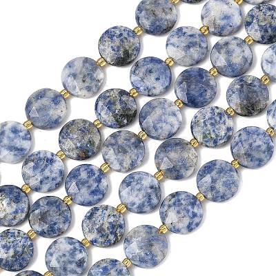 Natural Blue Spot Jasper Beads Strands G-A292-A10-01-1