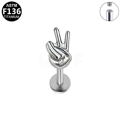 Titanium Alloy Cartilage Earrings WGB6E32-04-1