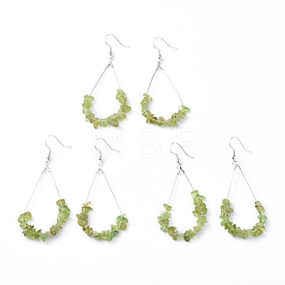 Dangle Earrings EJEW-E255-B17-1