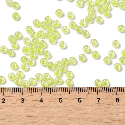 Glass Seed Beads SEED-H002-L-A233-1