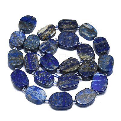 Natural Lapis Lazuli Beads Strands G-K245-J24-01-1