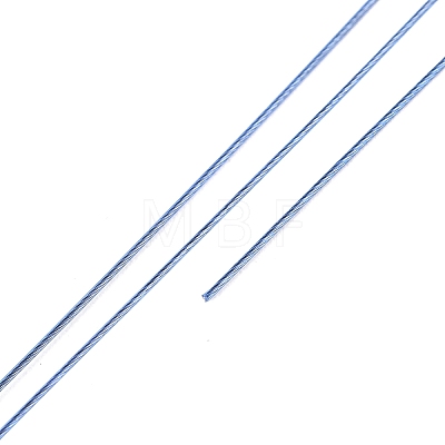 Round Nylon Coated Steel Wire TWIR-T002-01B-06-1