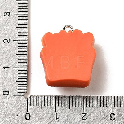 Resin Pendants RESI-A038-02D-1