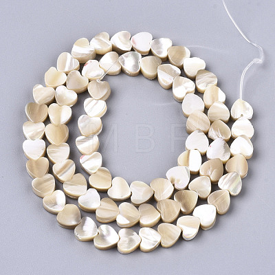 Natural Trochid Shell/Trochus Shell Beads SSHEL-R049-01-1