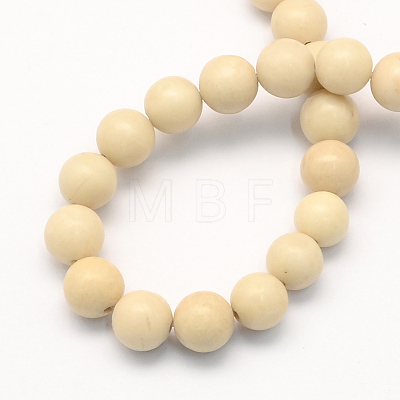 Natural Fossil Round Beads Strands G-S171-6mm-1