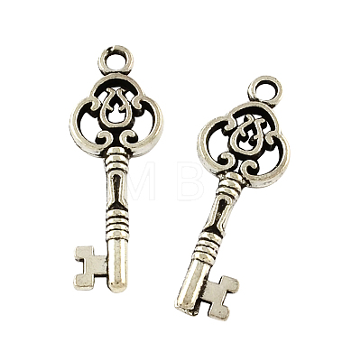 Tibetan Style Alloy Skeleton Key Pendants TIBEP-Q043-014-RS-1