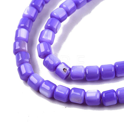 Natural Freshwater Shell Beads Strands SHEL-N003-33-A02-1